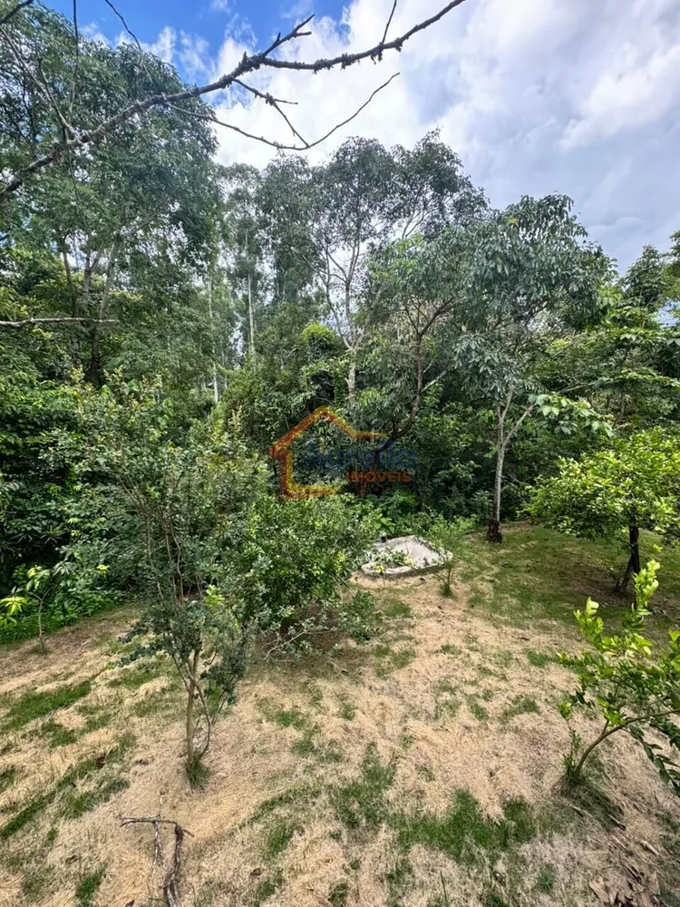 Chácara, 3 quartos, 1250 m² - Foto 7