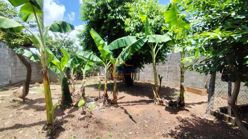 Terreno, 300 m² - Foto 3