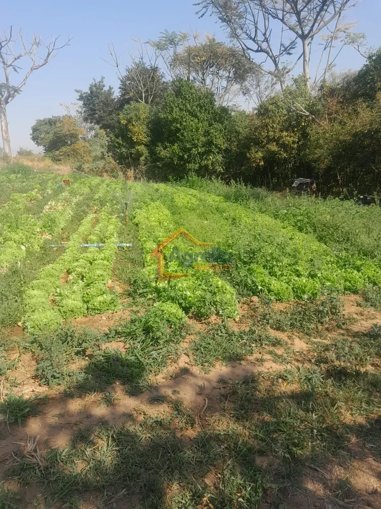 Sítio, 1 quarto, 18 hectares - Foto 4