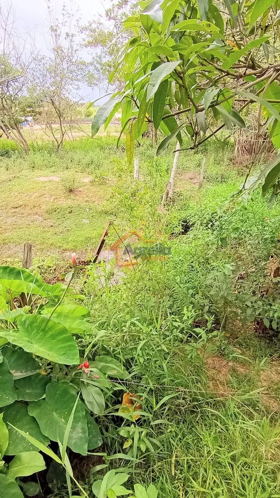 Sítio, 2 quartos, 2 hectares - Foto 4