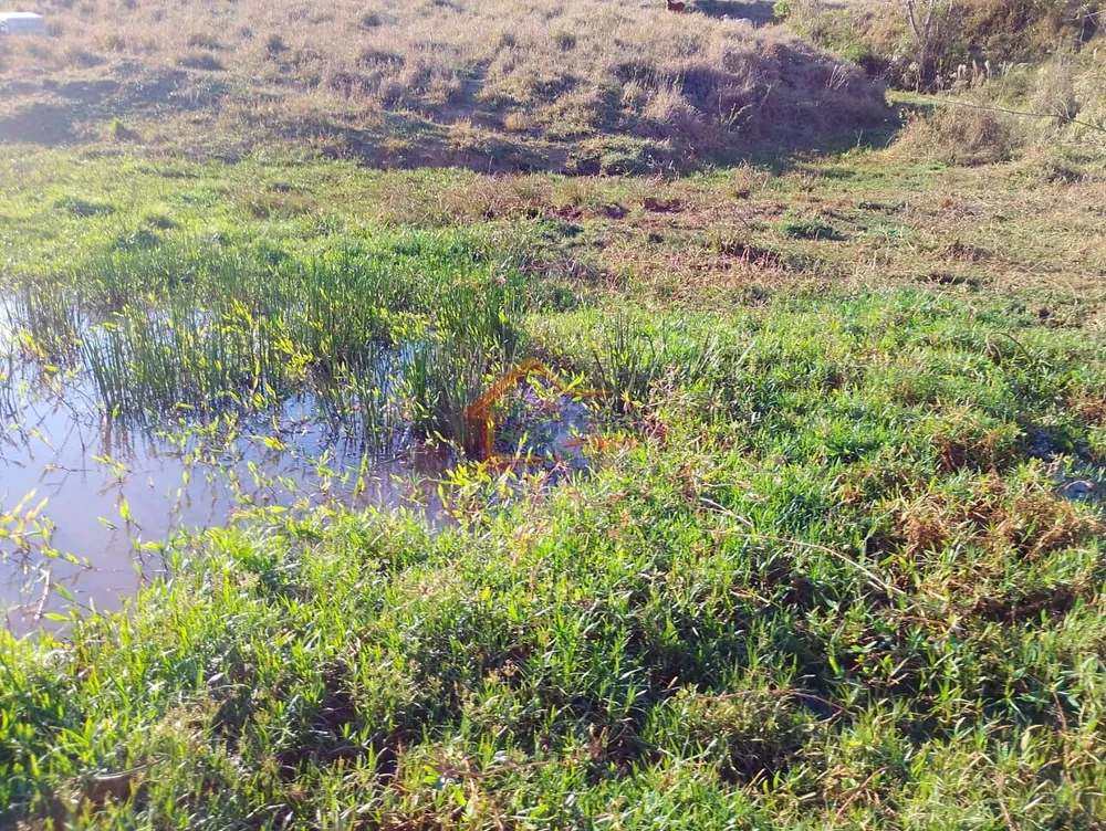 Sítio, 2 quartos, 16 hectares - Foto 7