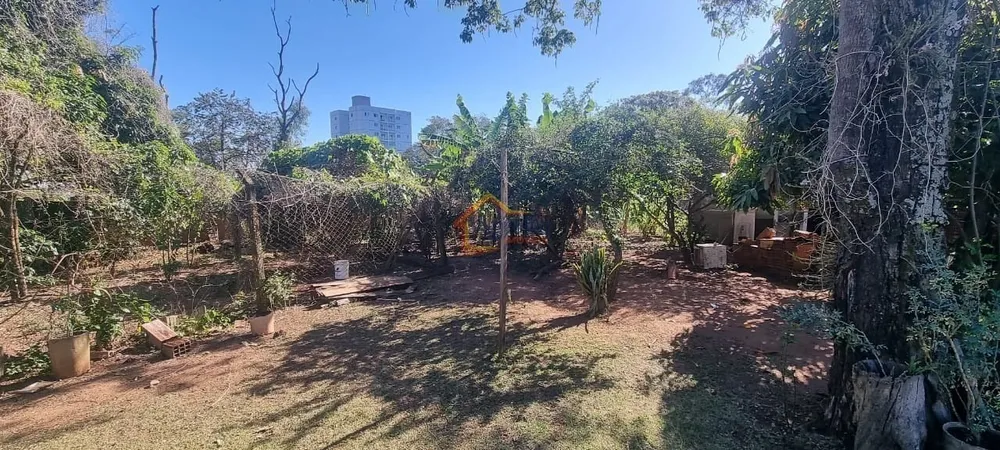 Chácara, 3 quartos, 423 m² - Foto 5