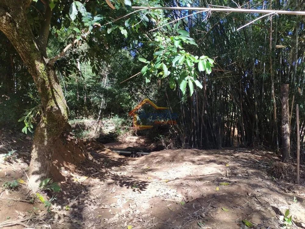 Chácara, 5 quartos, 2 hectares - Foto 8