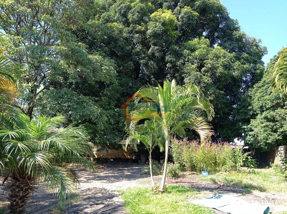 Terreno - Foto 4
