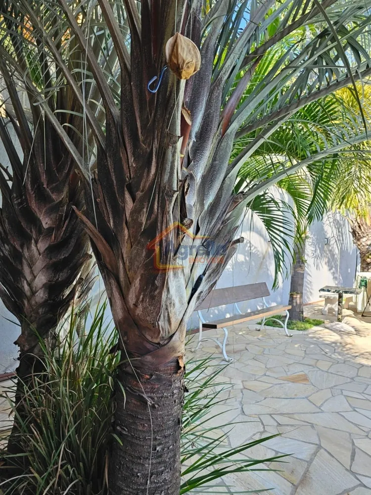 Chácara, 1 quarto - Foto 2