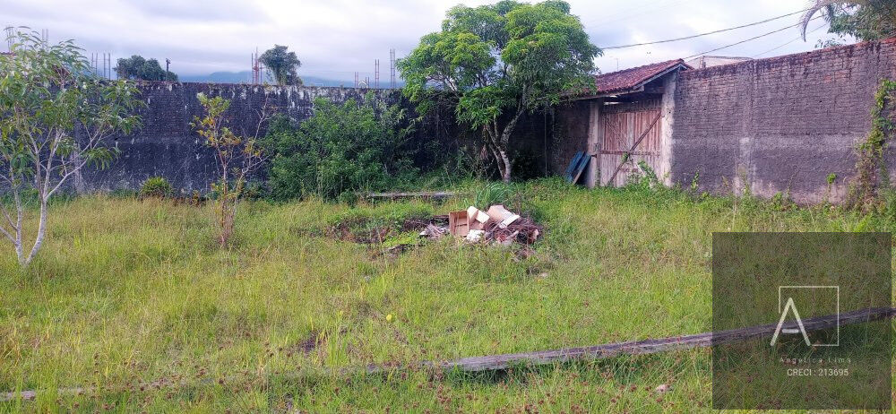 Terreno, 300 m² - Foto 3