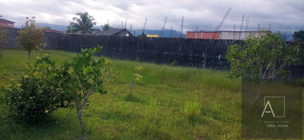 Terreno, 300 m² - Foto 4