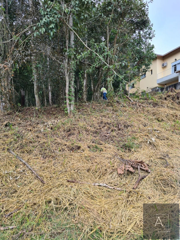 Terreno, 300 m² - Foto 3
