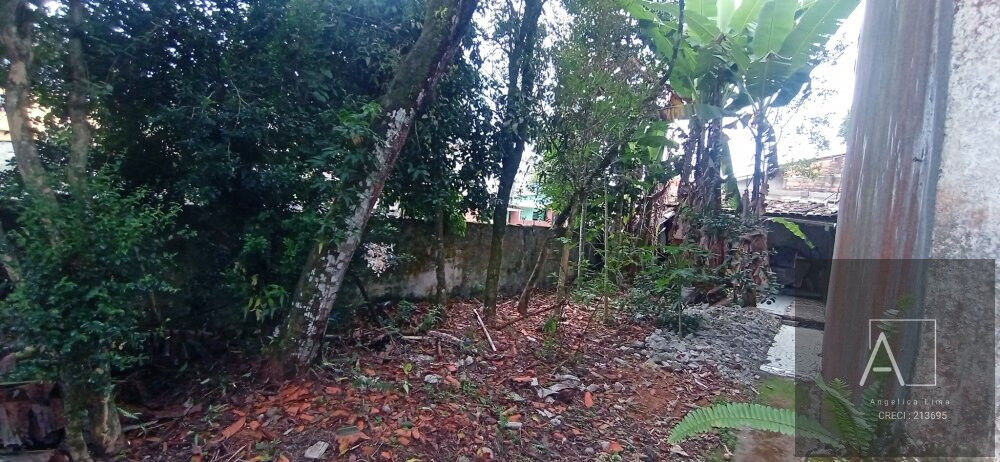 Terreno, 300 m² - Foto 2