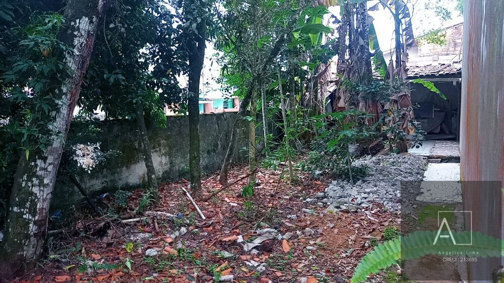 Terreno, 300 m² - Foto 5
