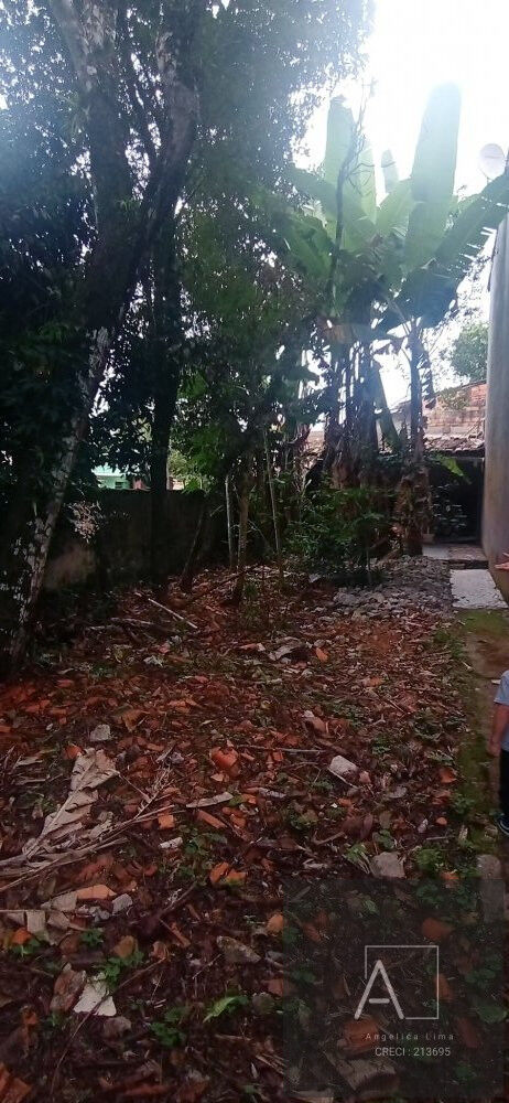 Terreno, 300 m² - Foto 4