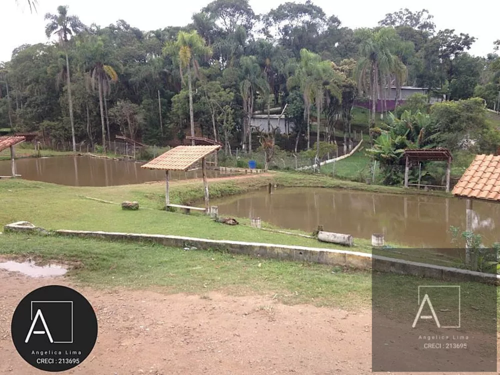 Fazenda, 2 hectares - Foto 7