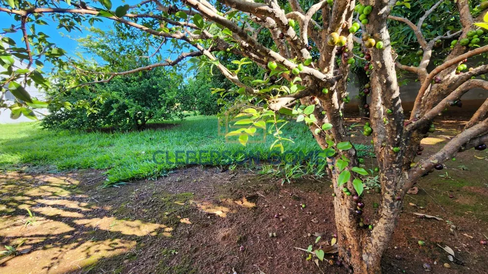 Casa, 4 quartos - Foto 14