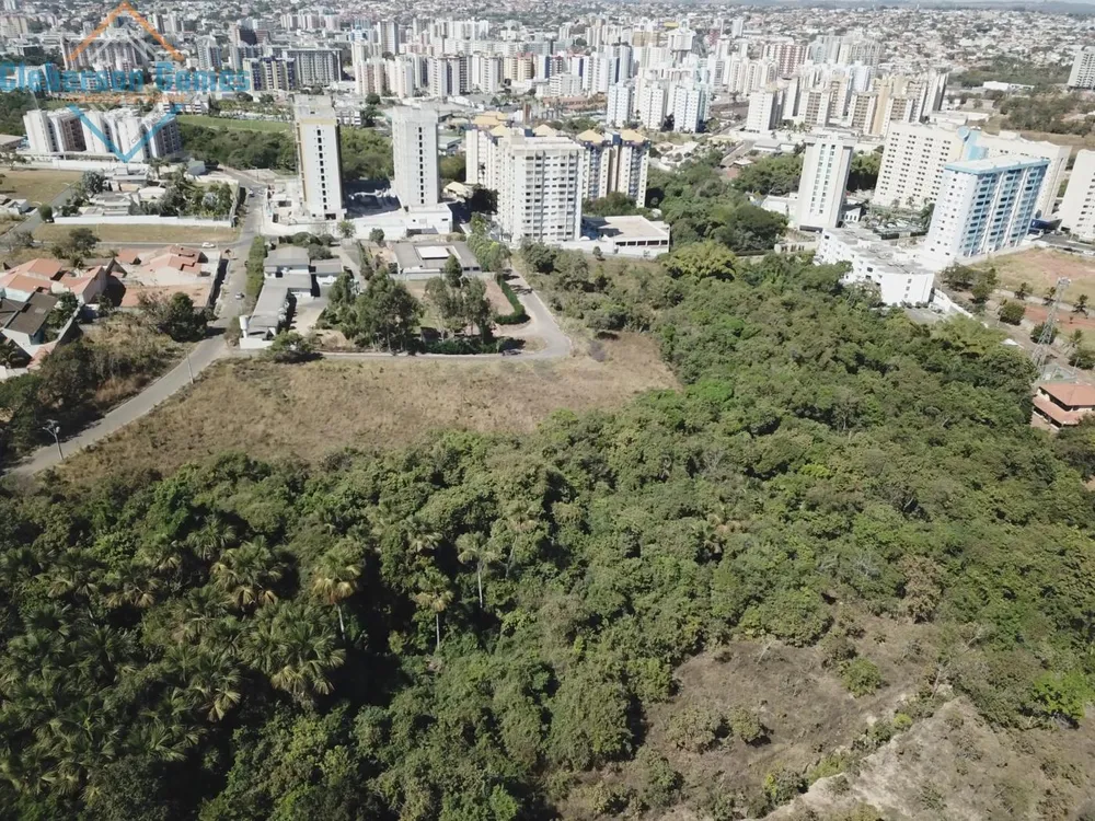 Terreno, 3 hectares - Foto 7