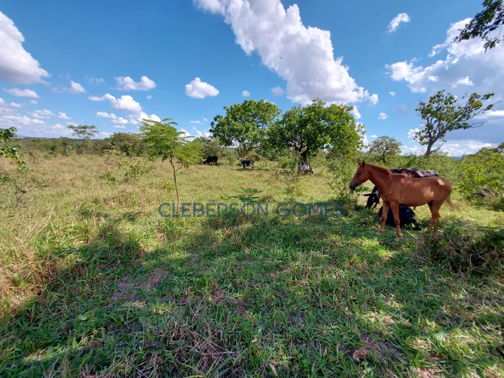 Chácara, 5 hectares - Foto 3