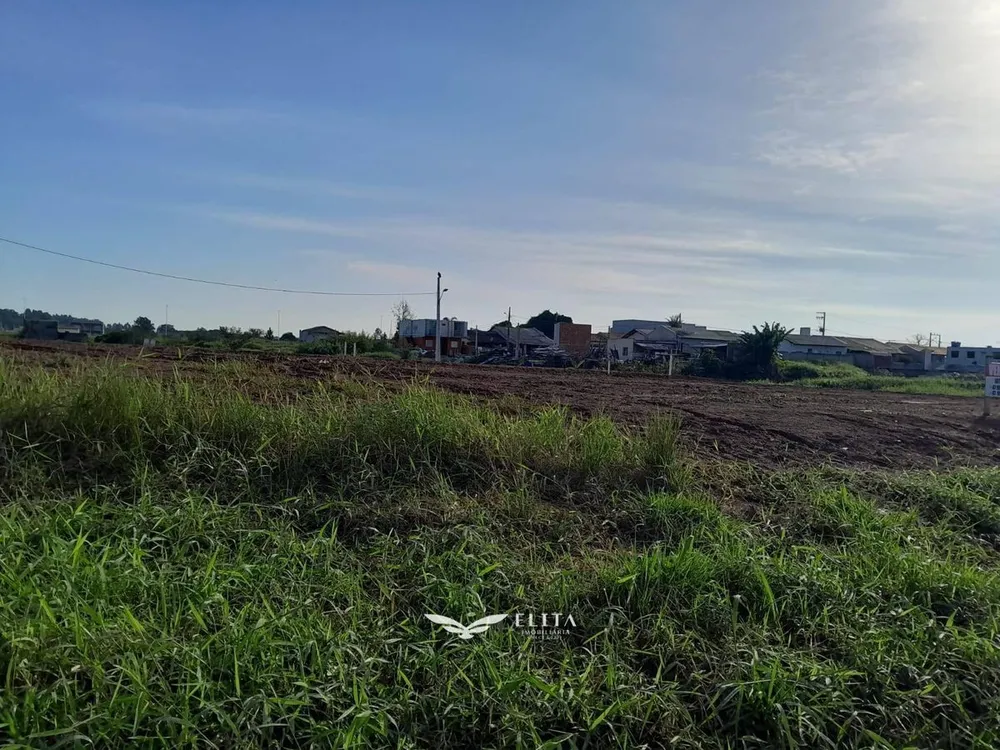 Terreno - Foto 3
