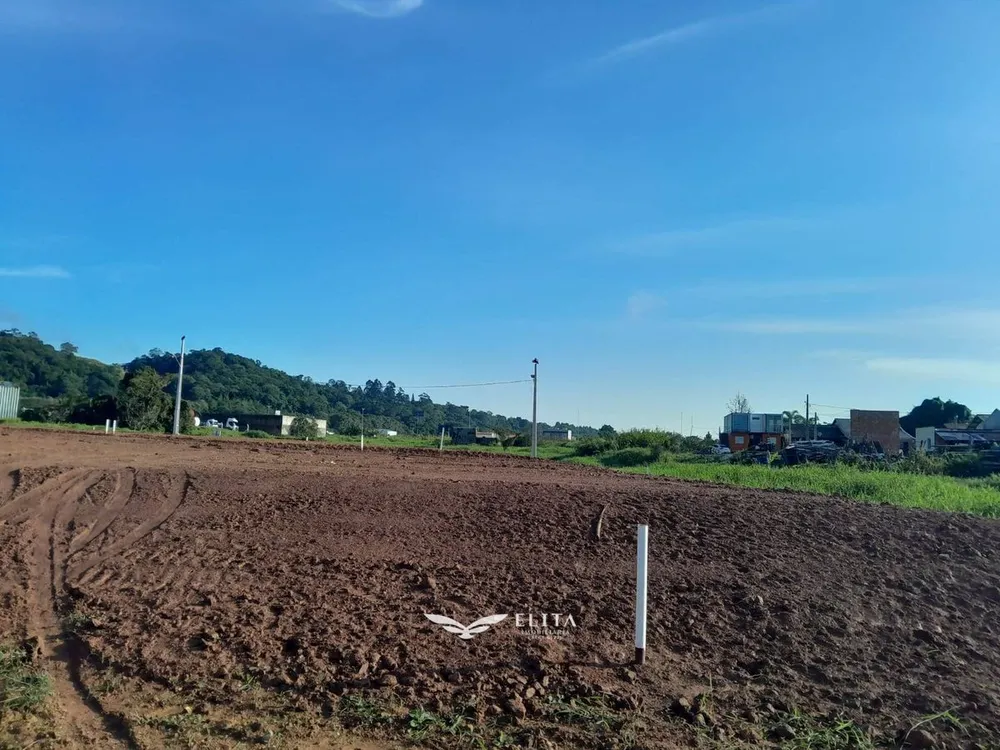 Terreno - Foto 5