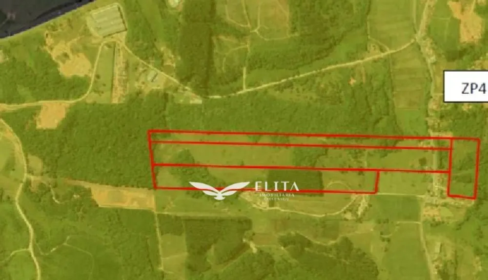 Terreno, 28 hectares - Foto 4