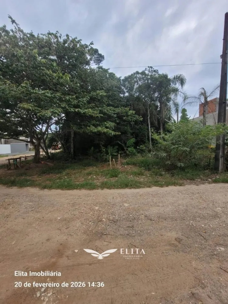 Terreno - Foto 2