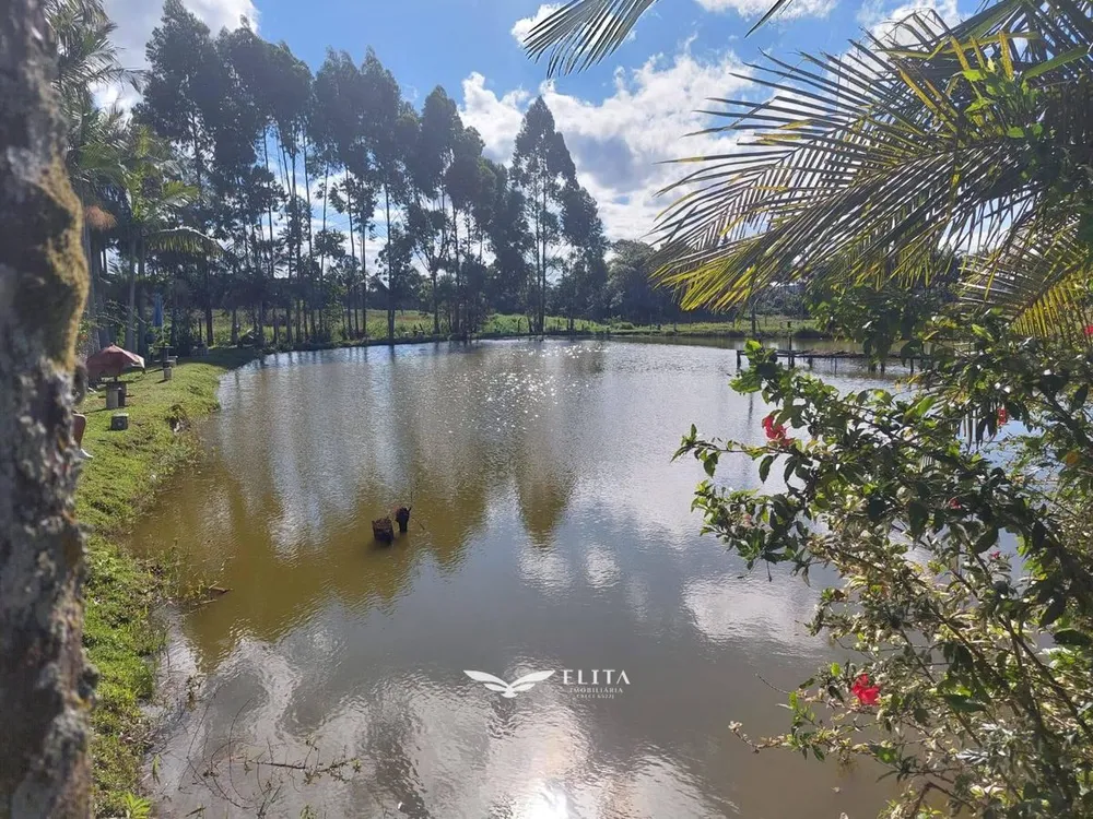 Chácara, 2 quartos, 2 hectares - Foto 9