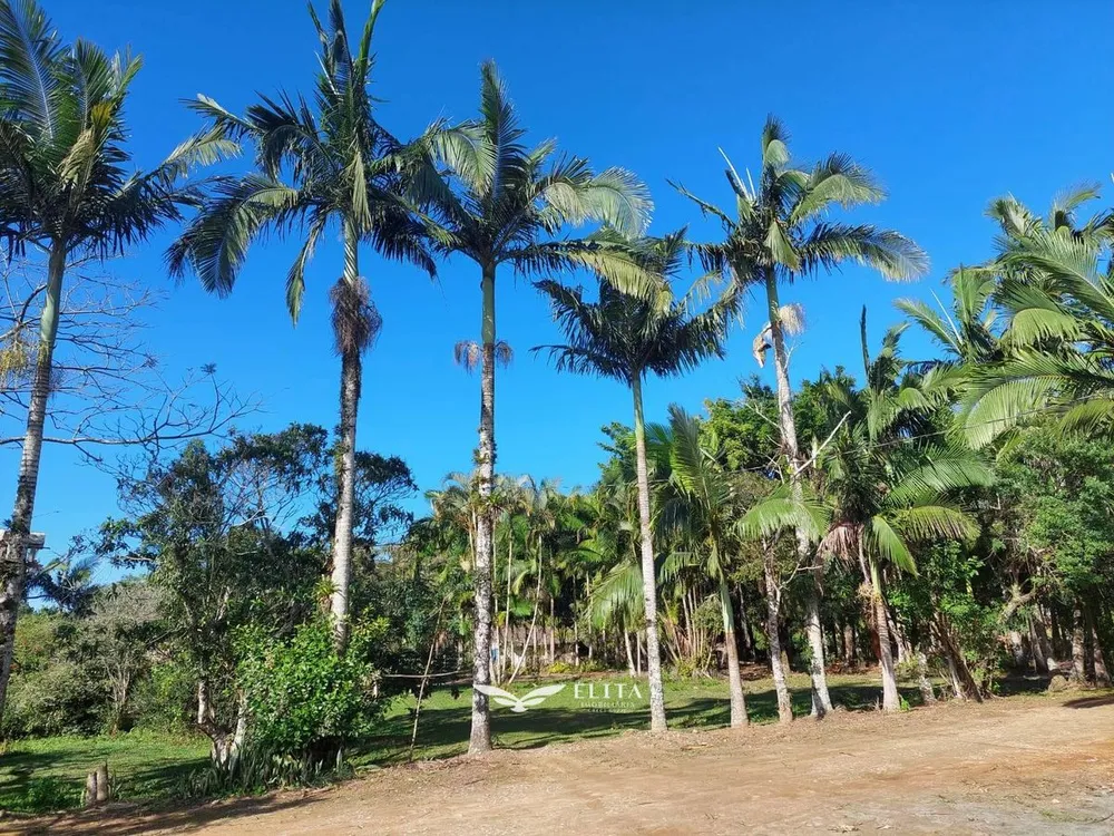 Chácara, 2 quartos, 2 hectares - Foto 4