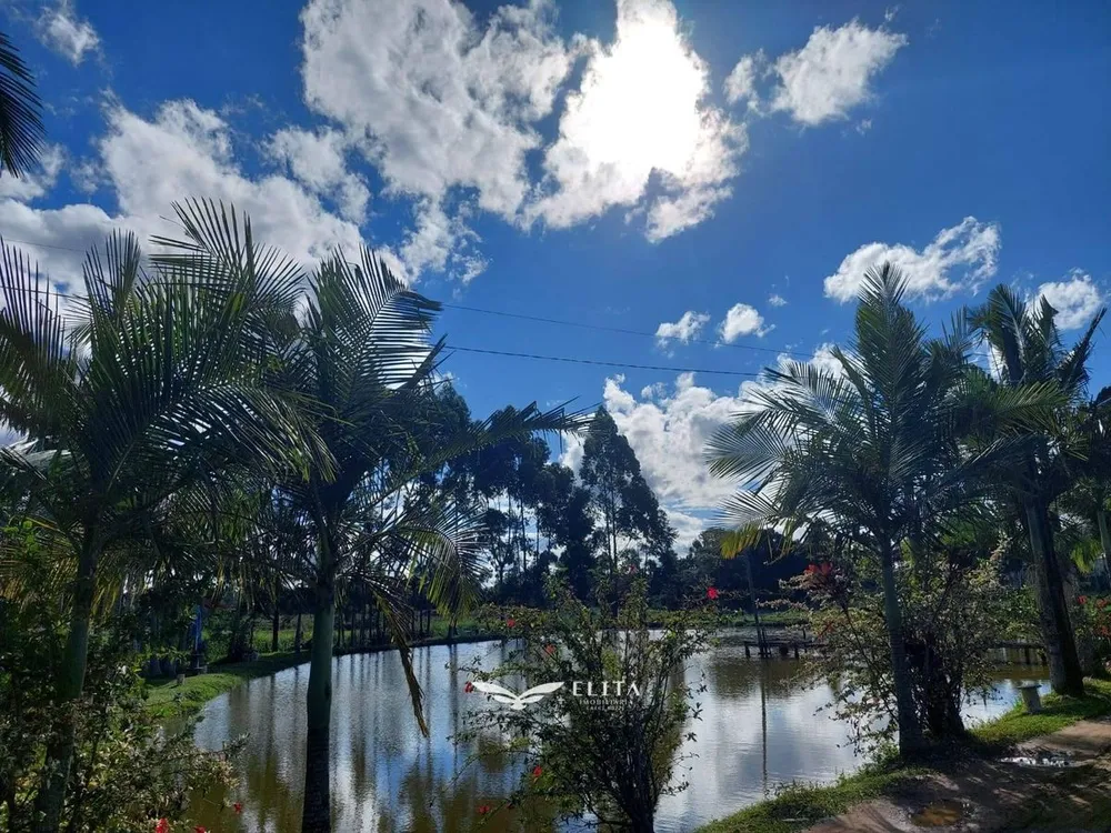 Chácara, 2 quartos, 2 hectares - Foto 7