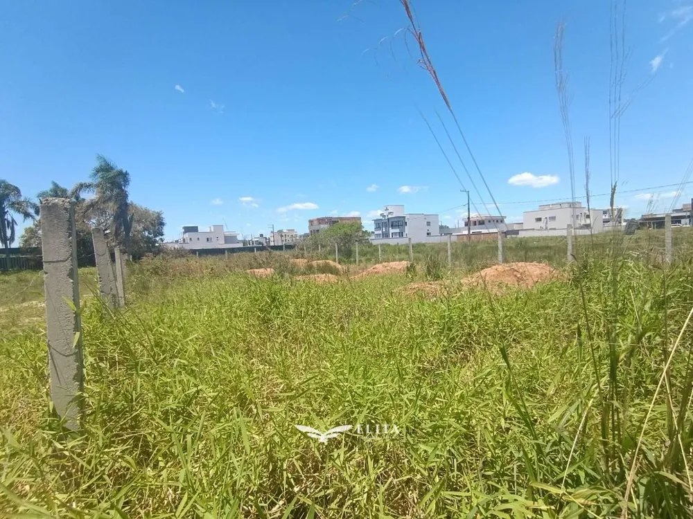 Terreno - Foto 4