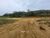 Terreno - Foto 3