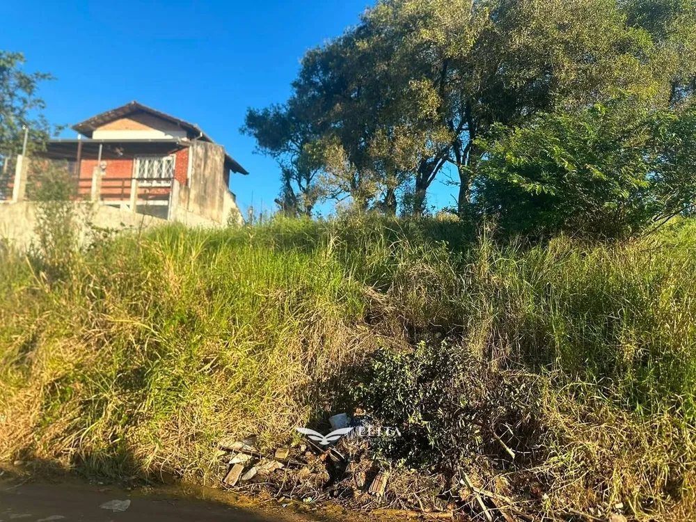 Terreno - Foto 3