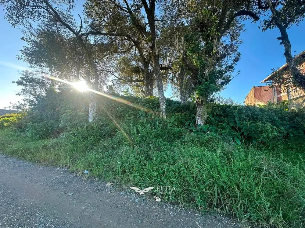 Terreno - Foto 2