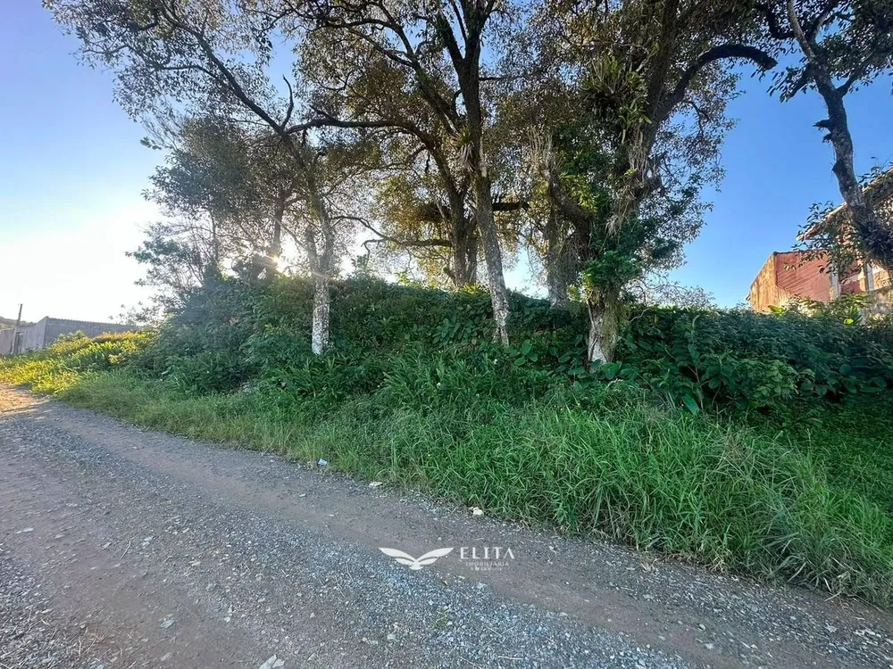 Terreno - Foto 6