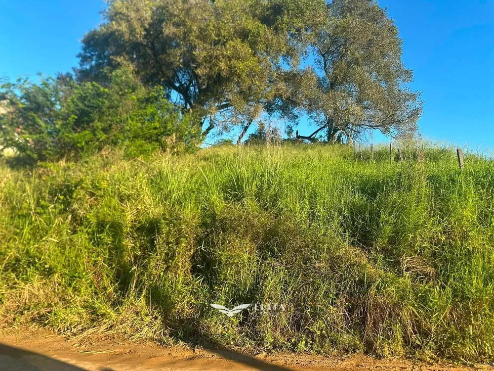 Terreno - Foto 7