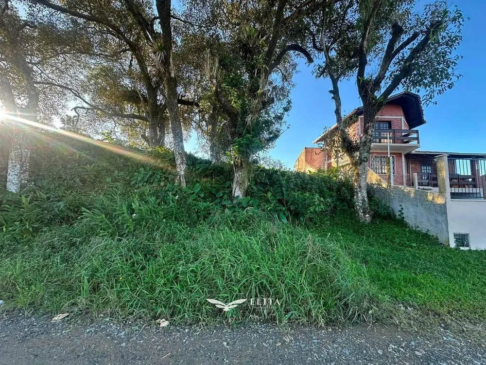 Terreno - Foto 5