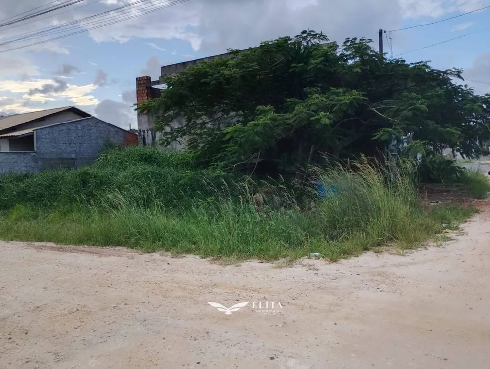 Terreno - Foto 2
