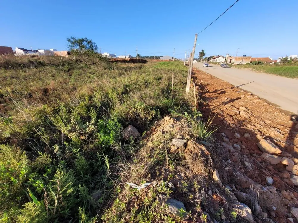 Terreno - Foto 6