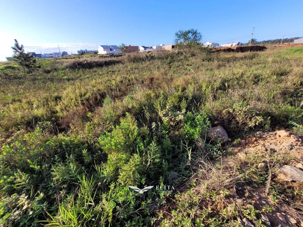 Terreno - Foto 4