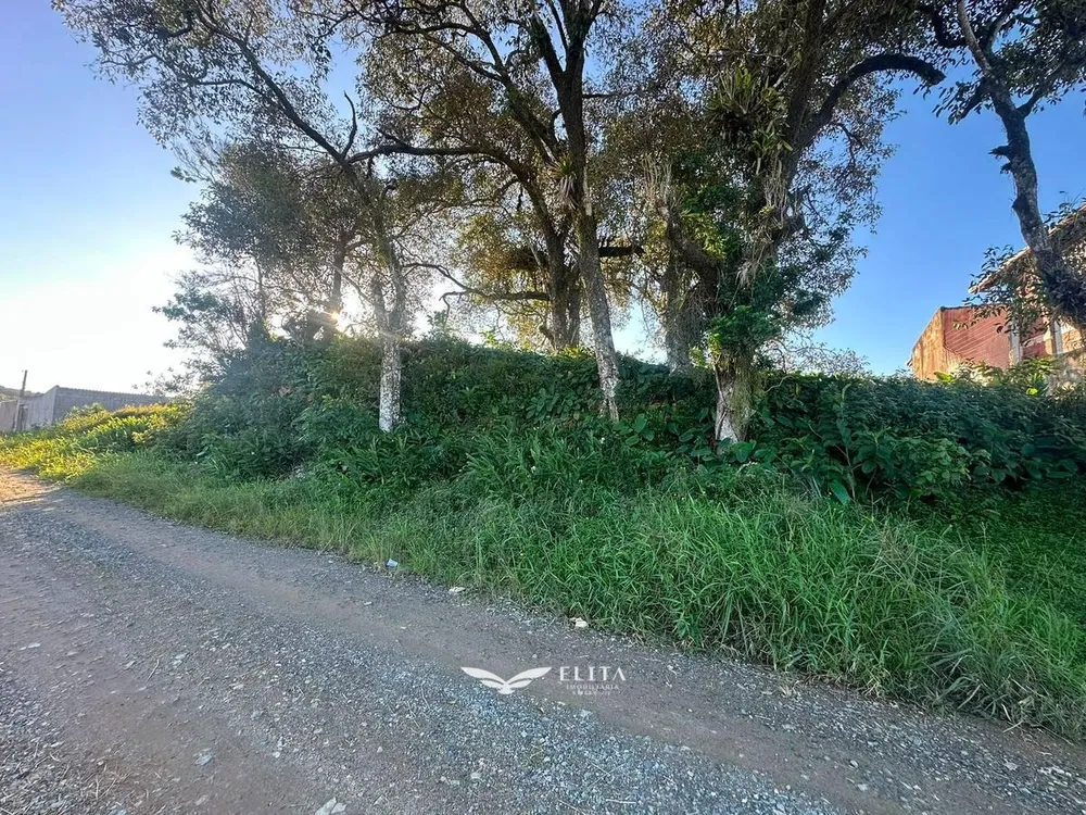 Terreno - Foto 3