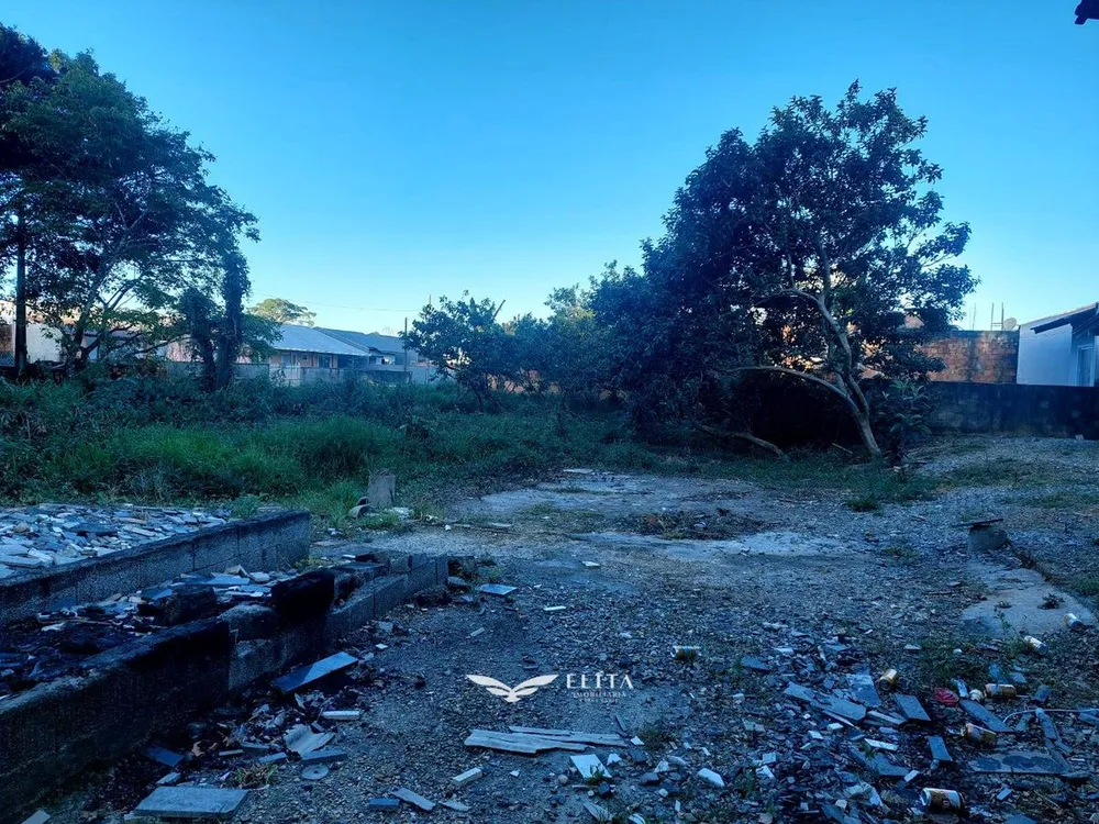 Terreno, 1001 m² - Foto 6