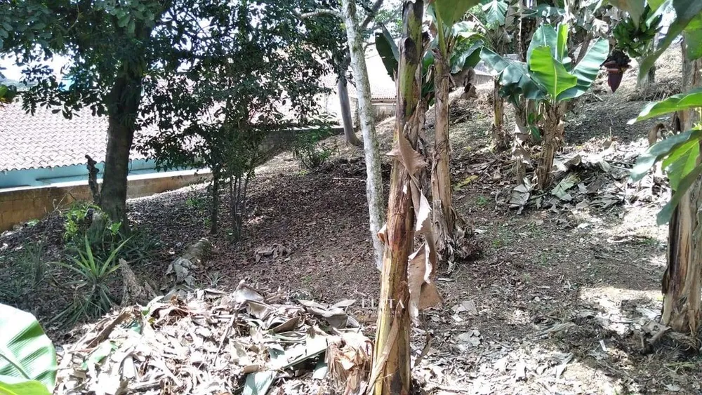 Terreno - Foto 7
