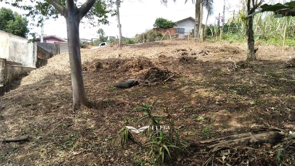Terreno - Foto 6
