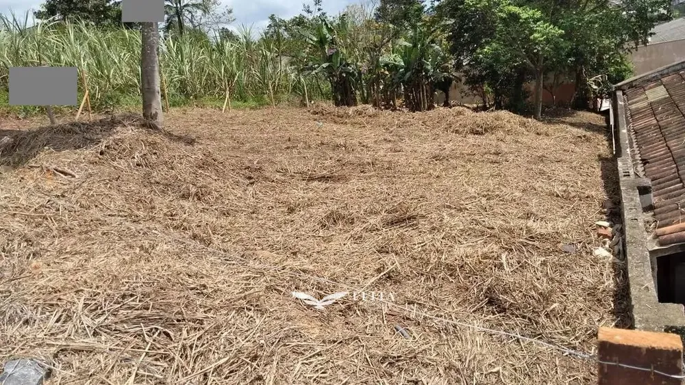 Terreno - Foto 3