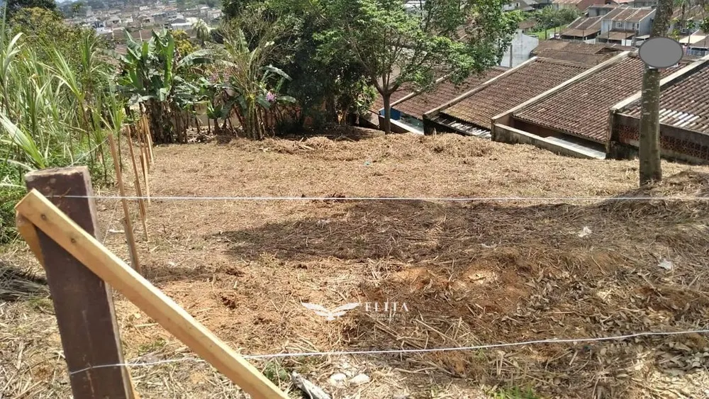 Terreno - Foto 4