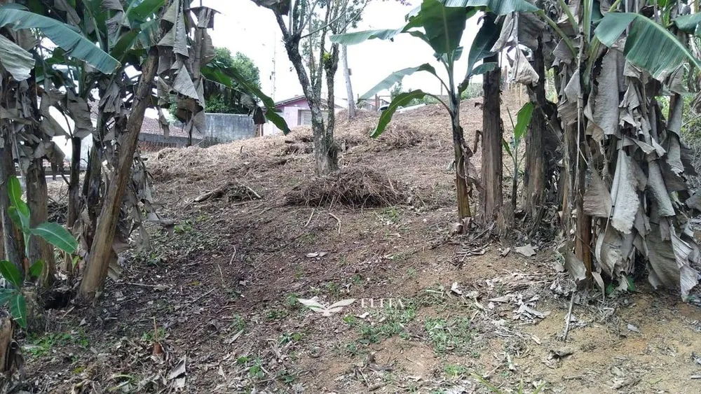 Terreno - Foto 1