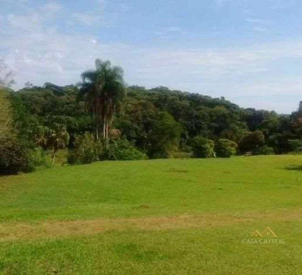 Terreno, 60 hectares - Foto 4