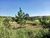 Terreno, 1000 m² - Foto 1