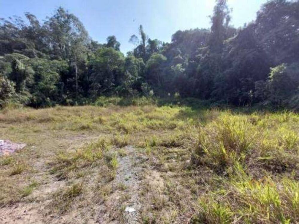 Terreno, 6594 m² - Foto 8