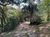 Terreno, 2 hectares - Foto 2