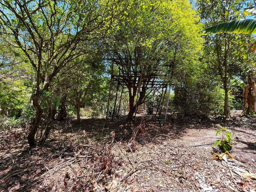 Terreno, 2000 m² - Foto 12