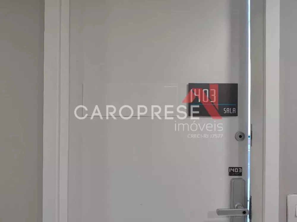 Sala-Conjunto, 30 m² - Foto 23