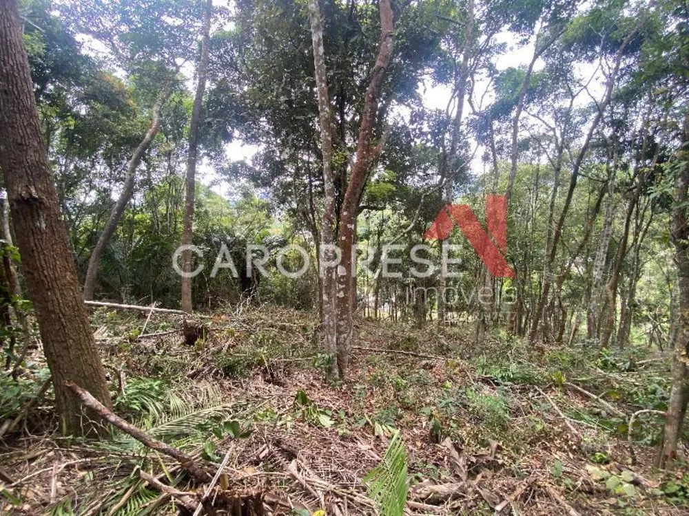 Terreno, 5 m² - Foto 5